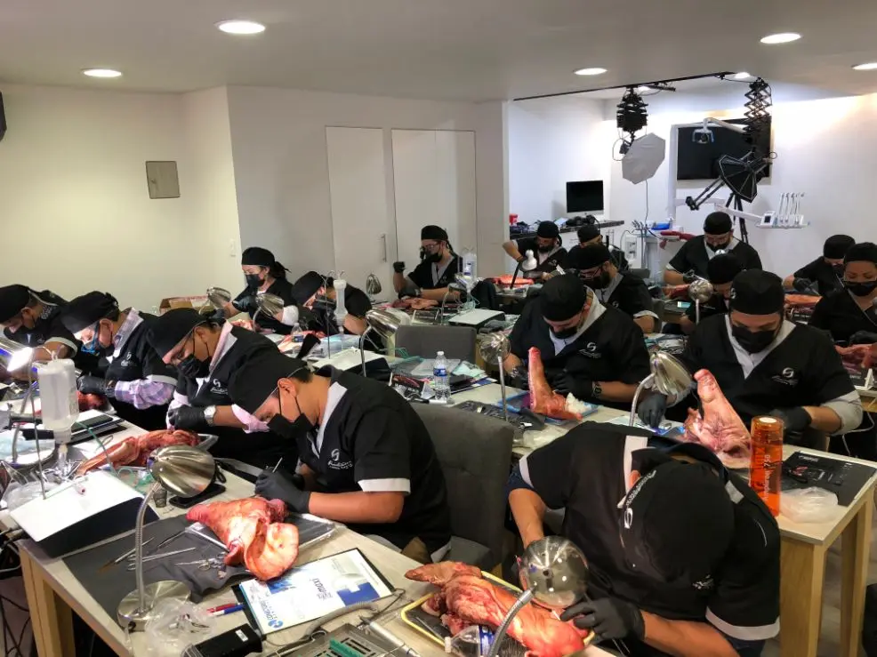 Participants working at their stations during the hands-on day